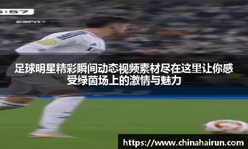 美嘉体育官网