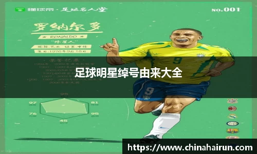 美嘉体育官方网站