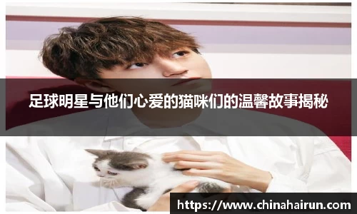 足球明星与他们心爱的猫咪们的温馨故事揭秘