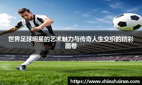 美嘉体育官方网站