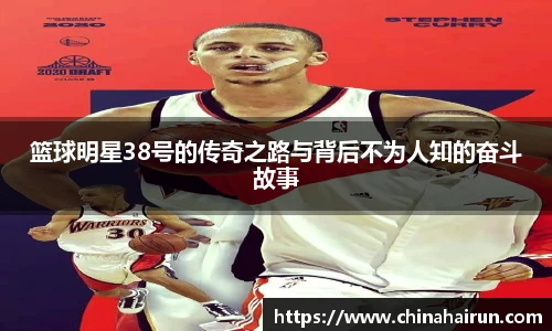 美嘉体育平台